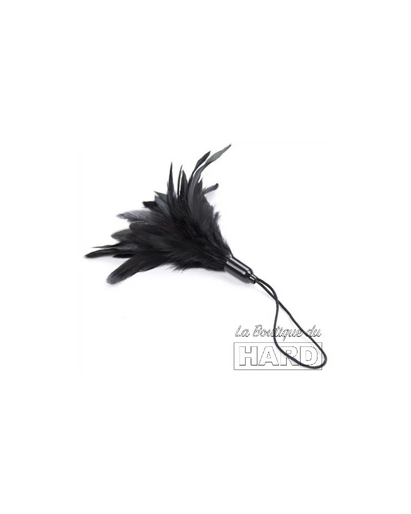 Generique Accessoire Pour Les Chatouilles Horn Tickler Noir 5 Generique Accessoire Pour Les Chatouilles Horn Tickler Noir – Image 3