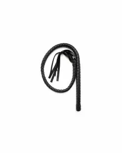 Generique Fouet SM Great Long 1m