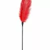 Easytoys Fetish Collection Plumeau Teasing Rouge 56cm 1 Easytoys Fetish Collection Plumeau Teasing Rouge 56cm -Cockrings Flexibles Soldes Boutique plumeau teasing rouge 56cm