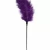 Easytoys Fetish Collection Plumeau Teasing Violet 56cm 2 Easytoys Fetish Collection Plumeau Teasing Violet 56cm -Cockrings Flexibles Soldes Boutique plumeau teasing violet 56cm